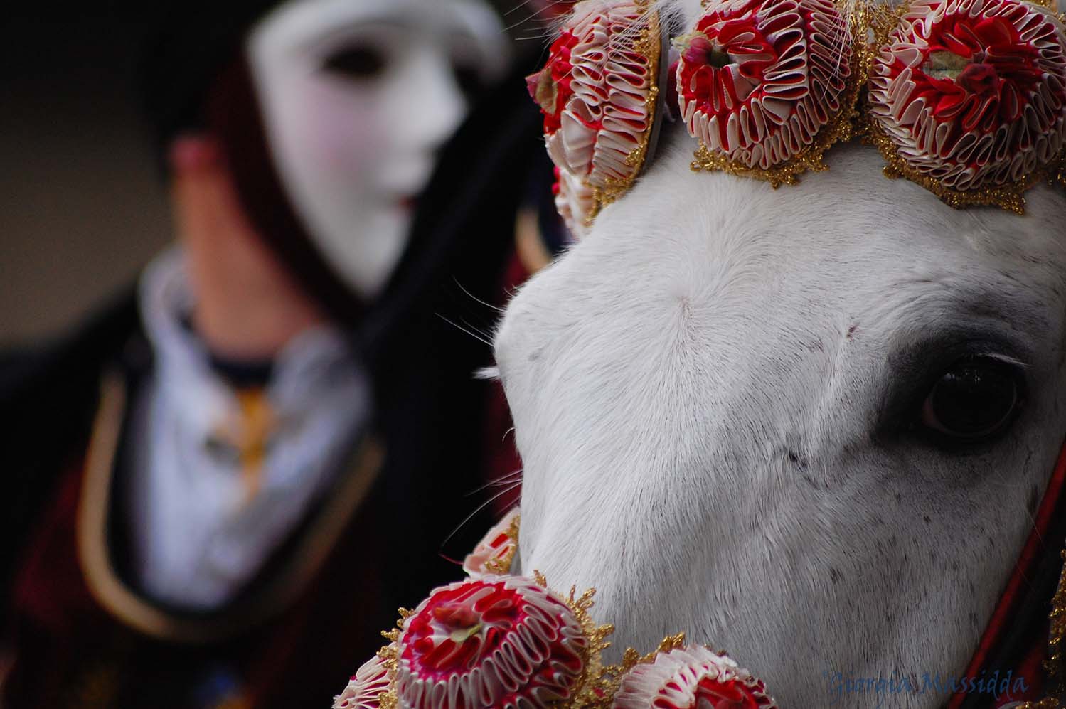 Particolari di Sartiglia
