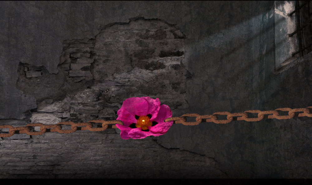 verit�, chi ti vuole ?