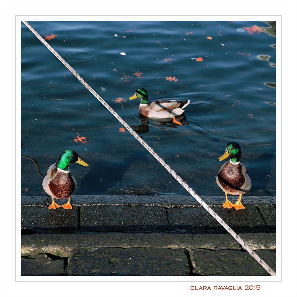 A ciascuno... il suo spazio