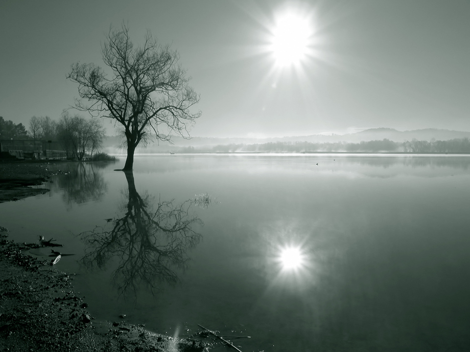 Let the sun shine in