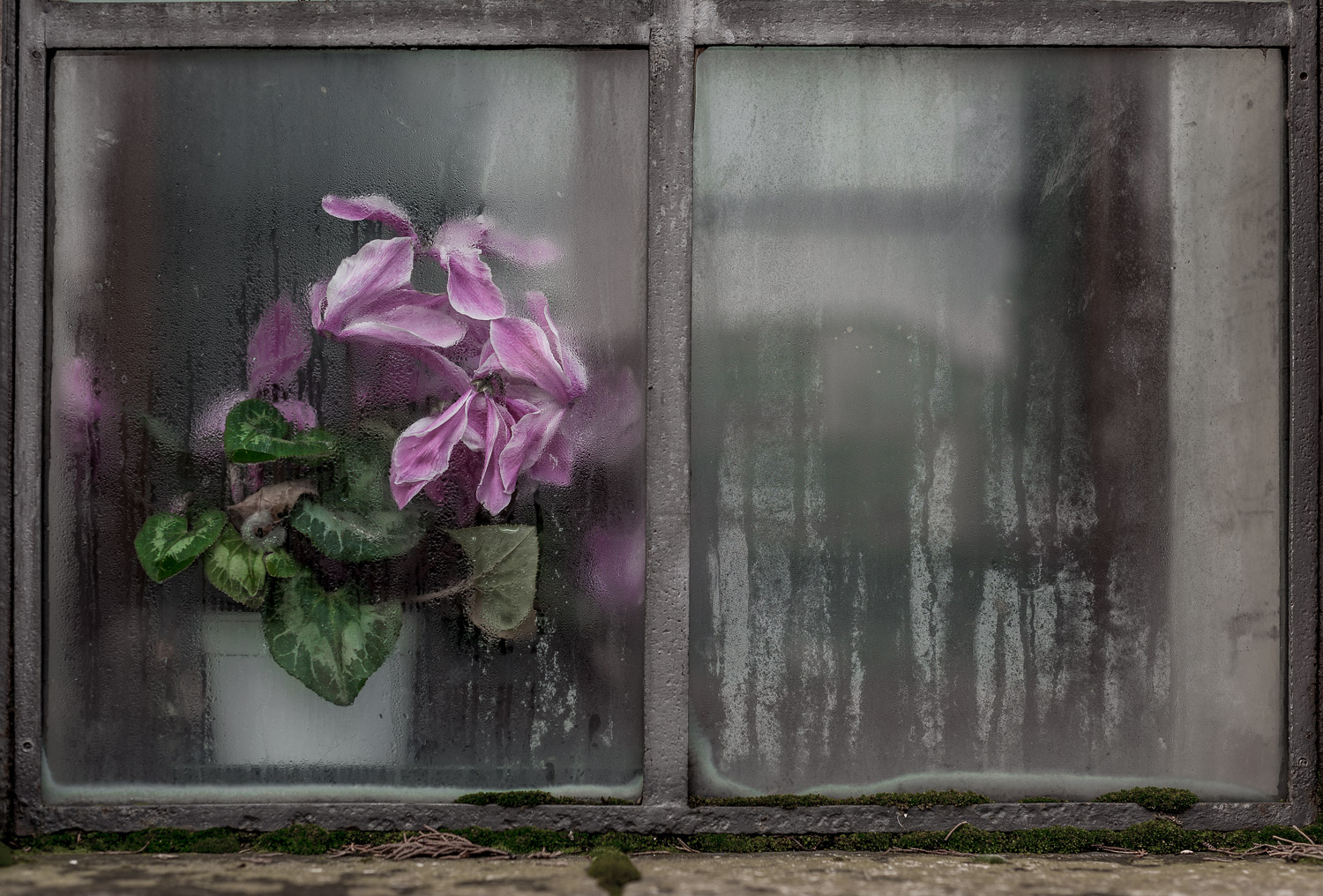 L'inverno volge al termine...