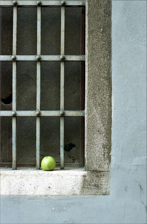 Trieste fragments img 414