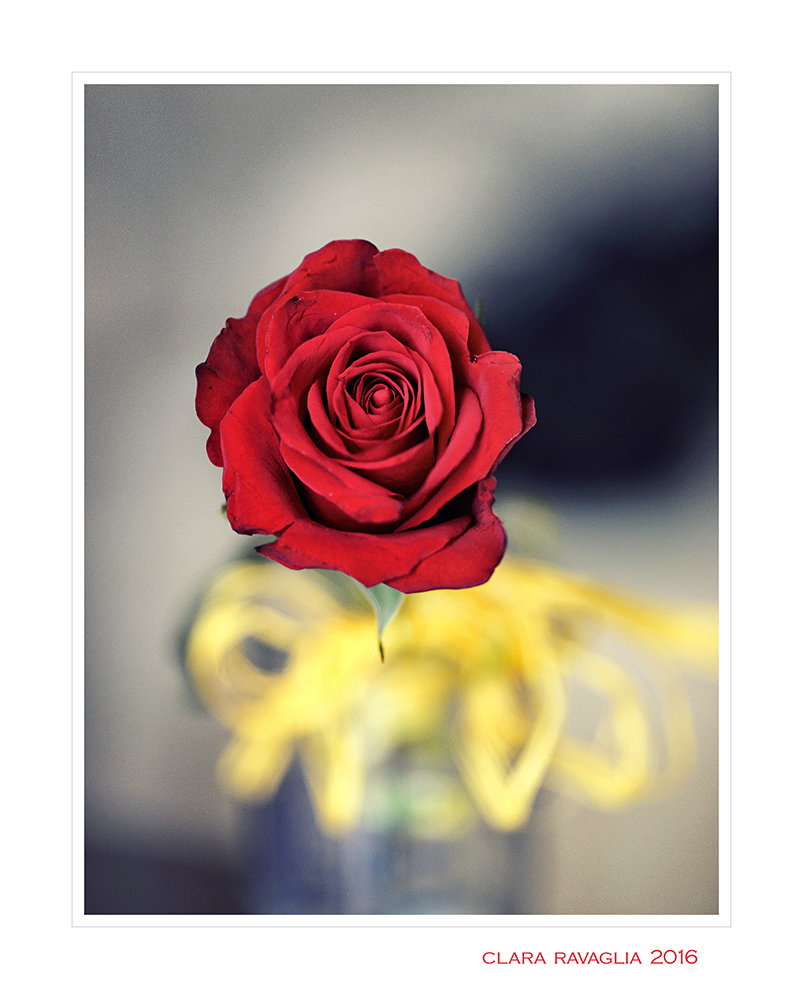 Se il rosso...sfida il giallo