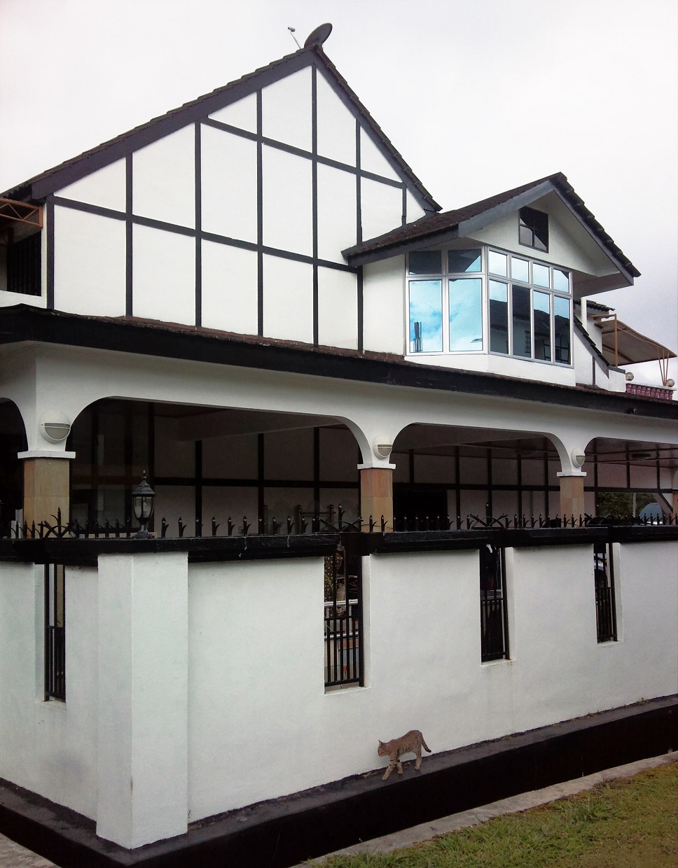 Di soppiatto arriva il gatto