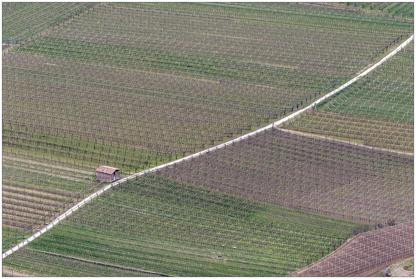 Tempo di risveglio vegetativo.