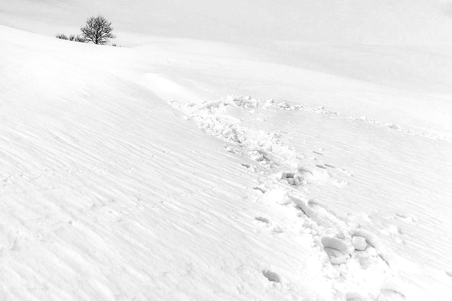 solo...... i miei passi