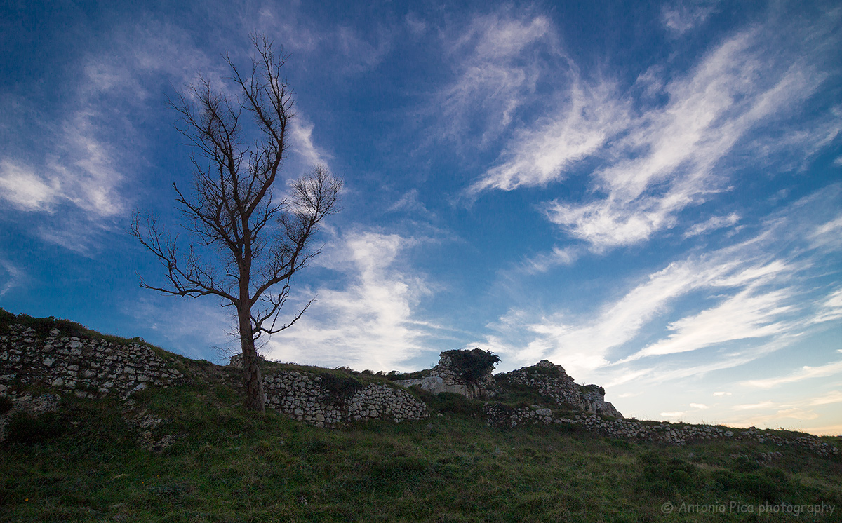 Touching the blue sky