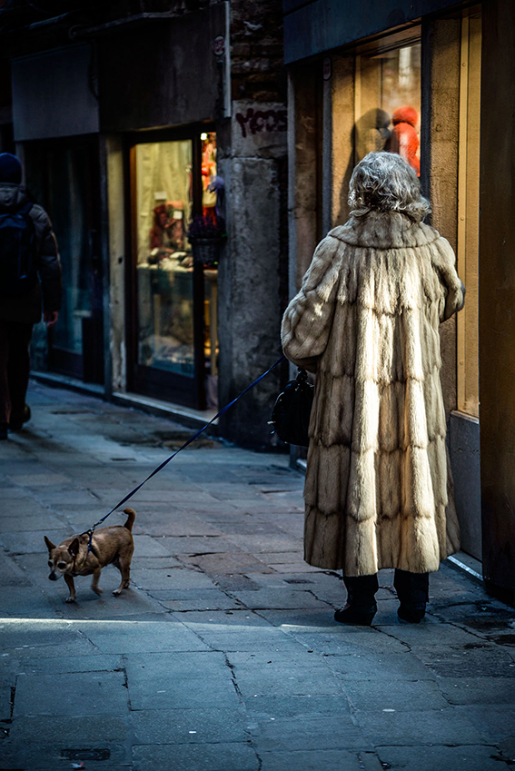 bestia con Cane..Natura Morta