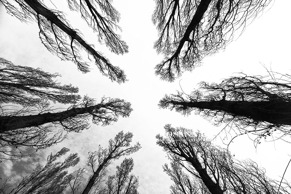 ogni tanto, alza gli occhi al Cielo