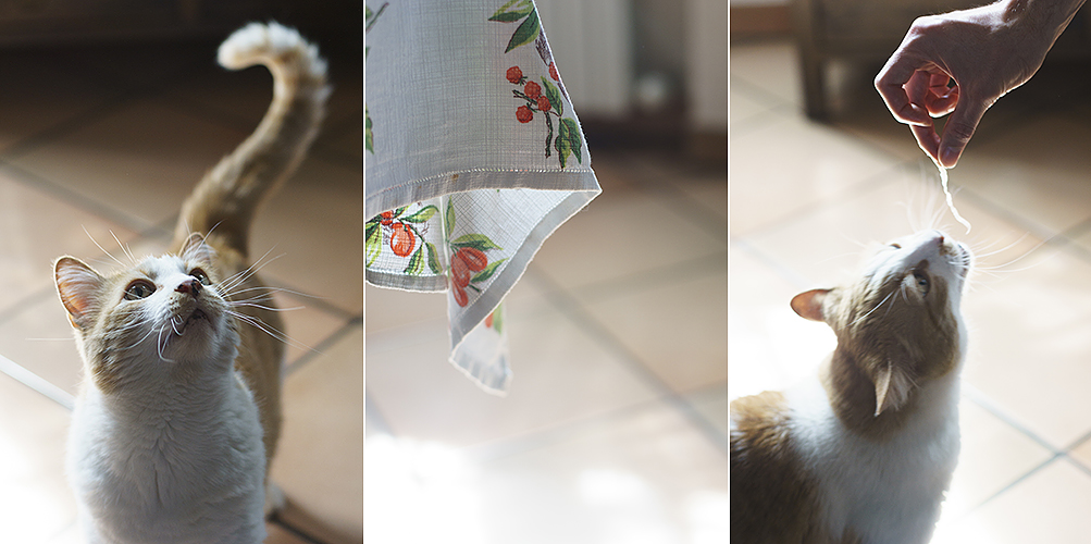 trittico di viziataggine