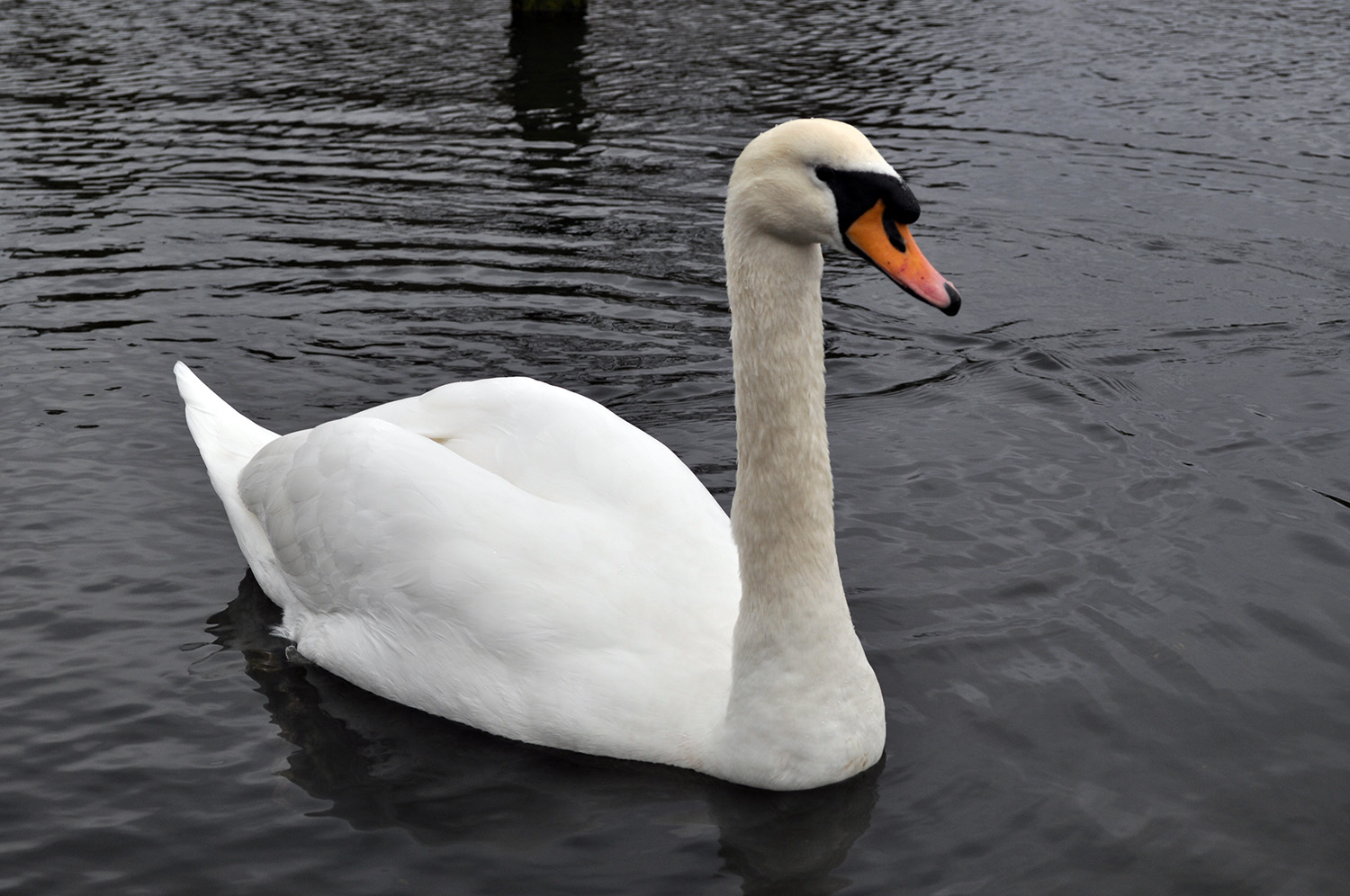 L'incantesimo del lago