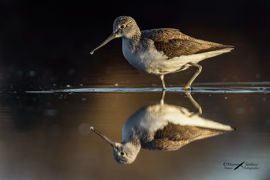 Pantana_primi raggi di sole