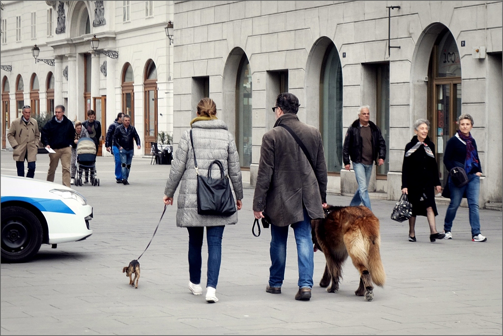 Trieste img.022