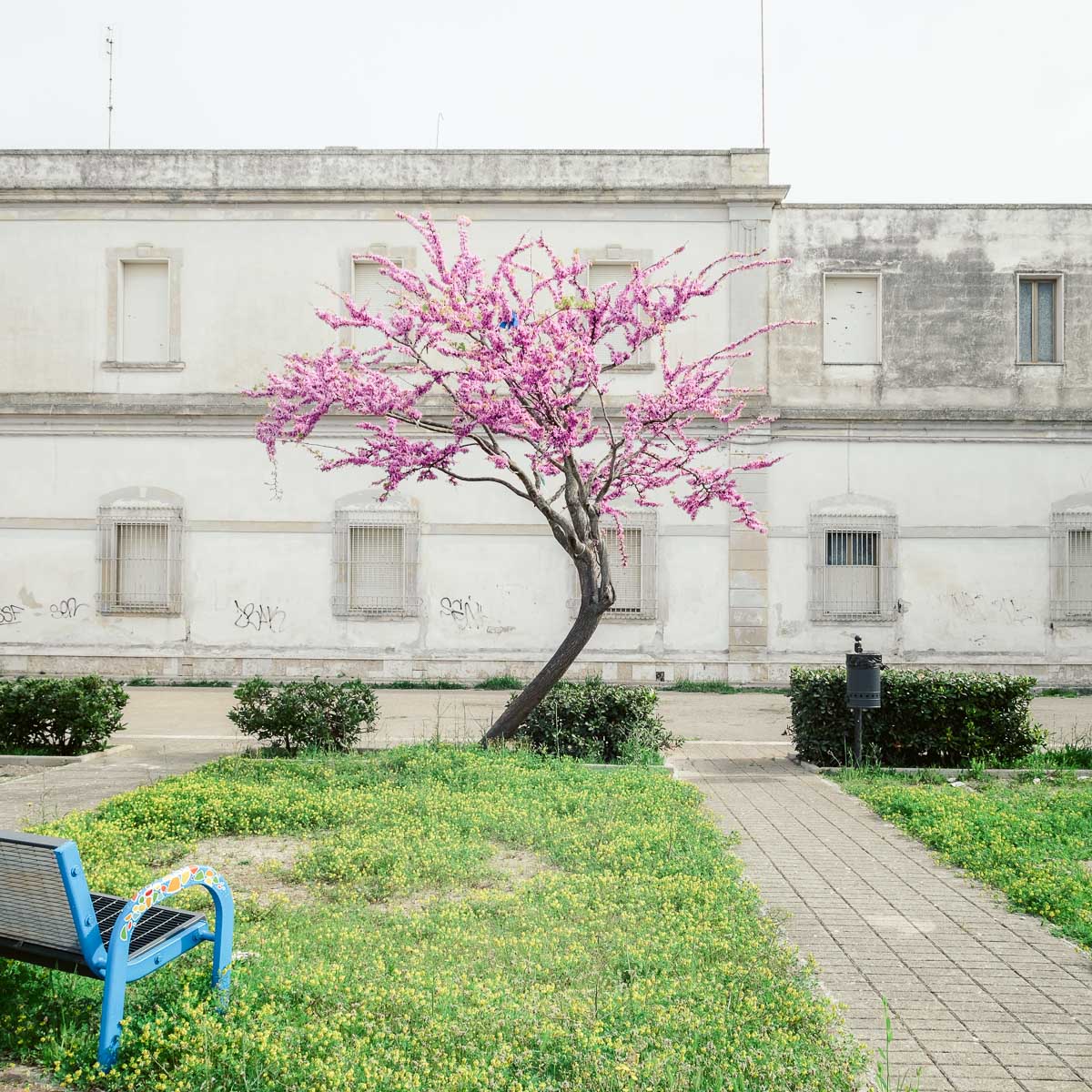 Borgo Piave - Centro