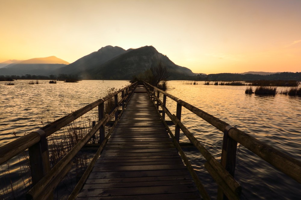 Subito prima dell'alba