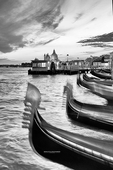 Venessia