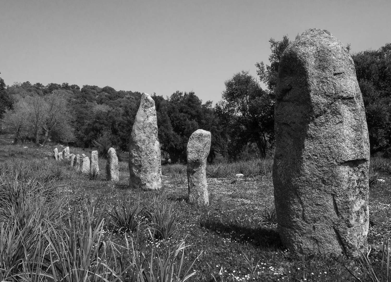Little Sardinian Stonehenge