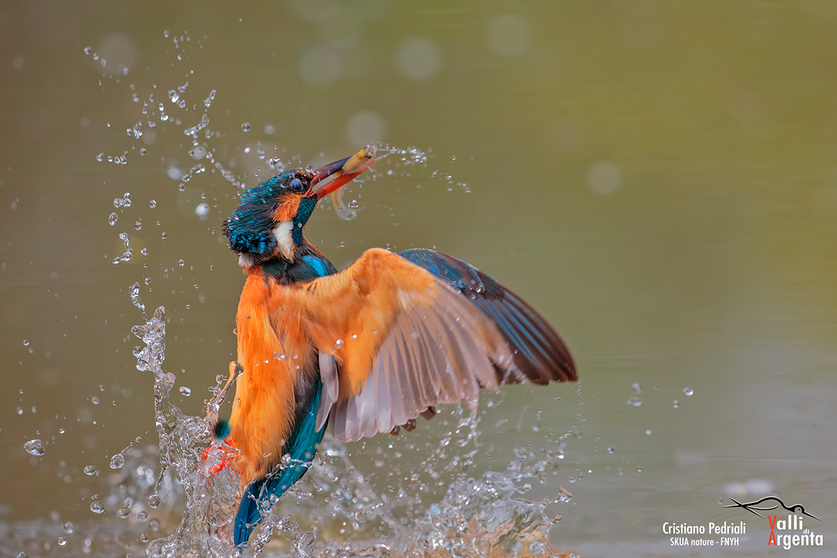 Martina in risalita..