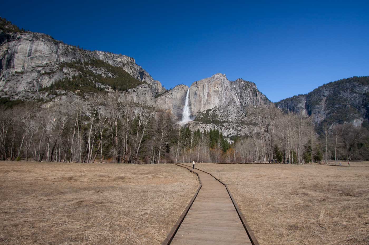Yosemite Park 1st fall