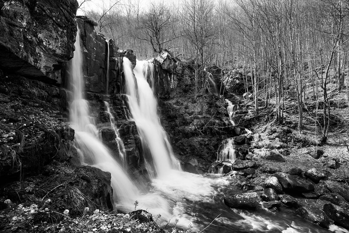 ..water,stones and trees..