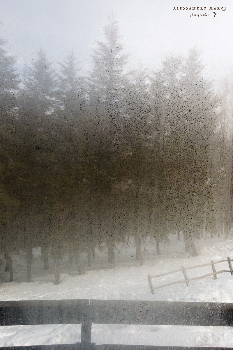 Paesaggio.. da dentro