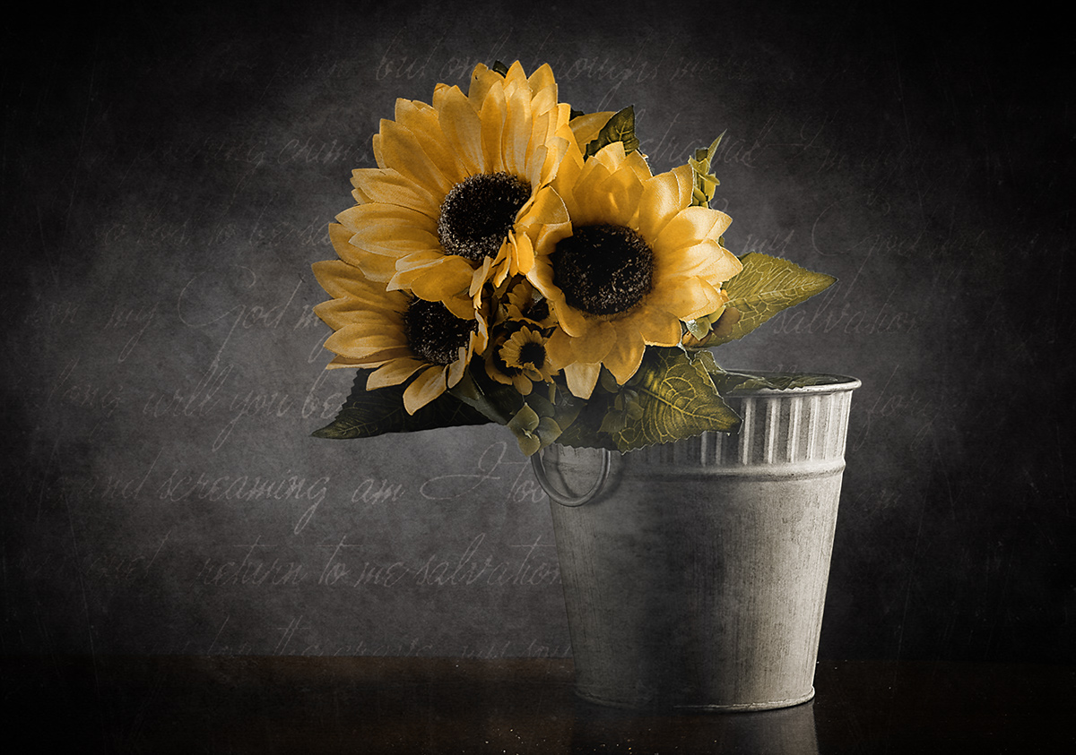 I girasoli nel vaso