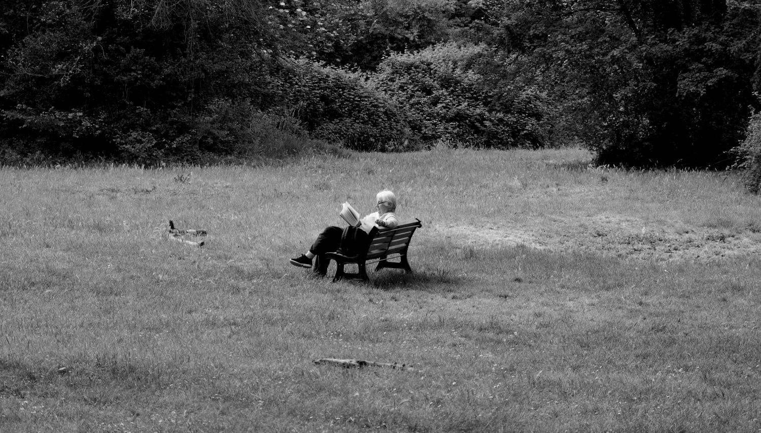 universo nella mente