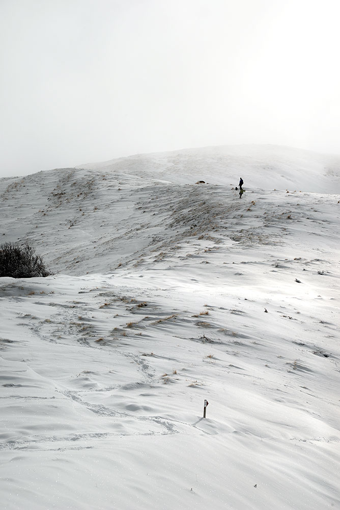 oggi, 25 aprile..primavera