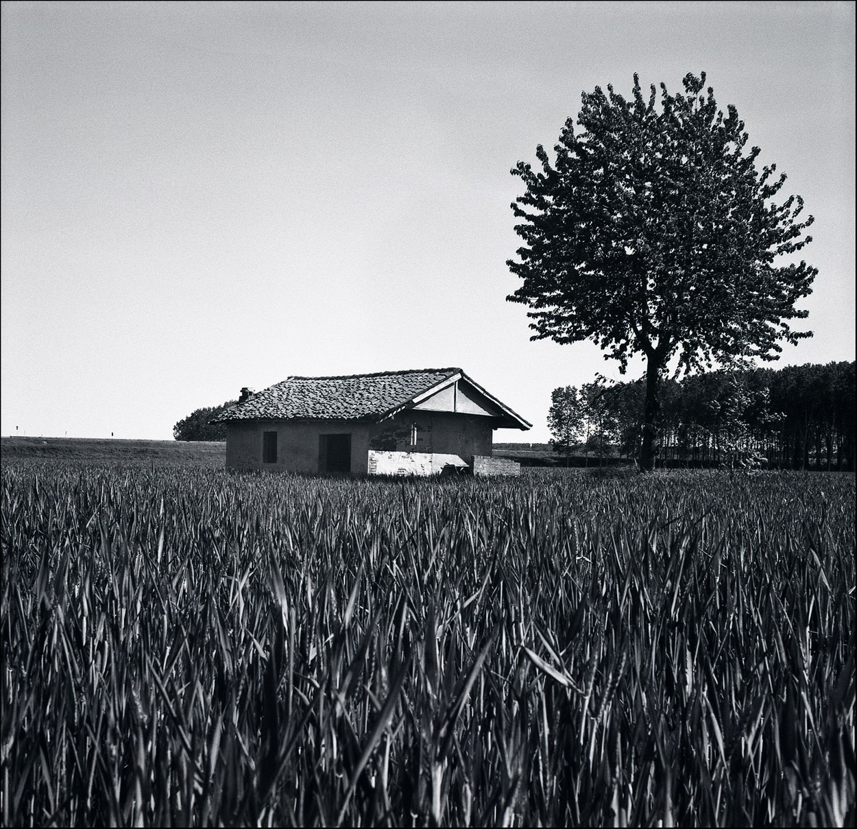 il giocatore di biliardo ;/)