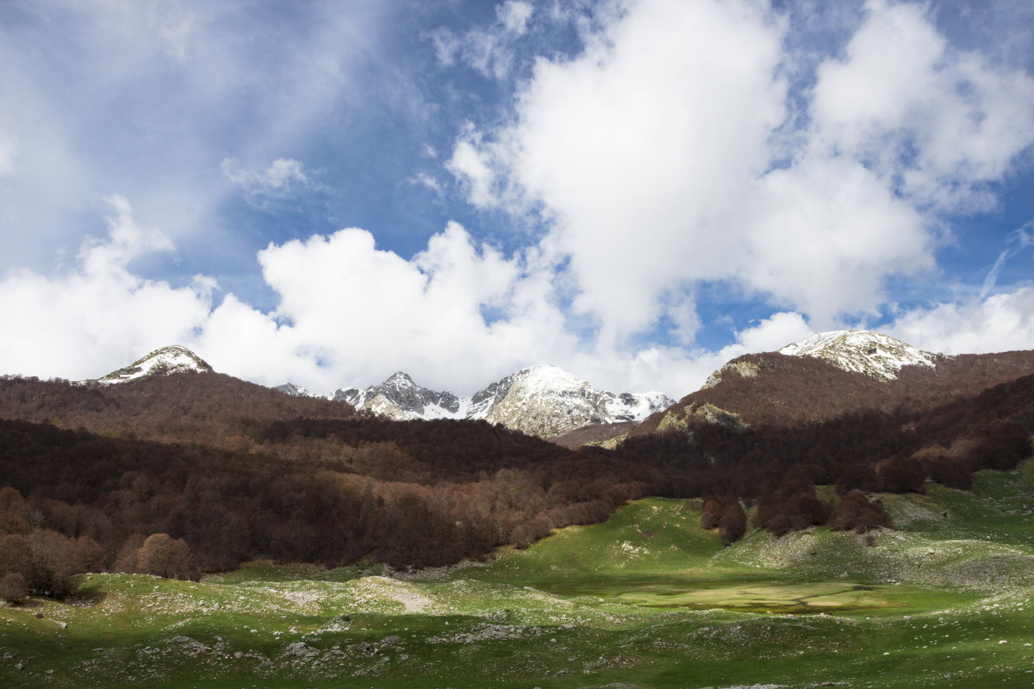 Lago Vivo "ma senza lago"