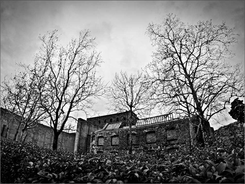 Risiera di San Sabba Trieste