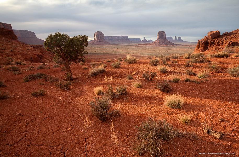 Waiting for Tex Willer