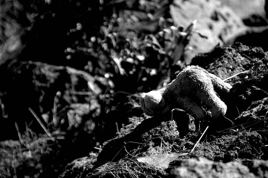 Torneremo a prenderlo, piccola