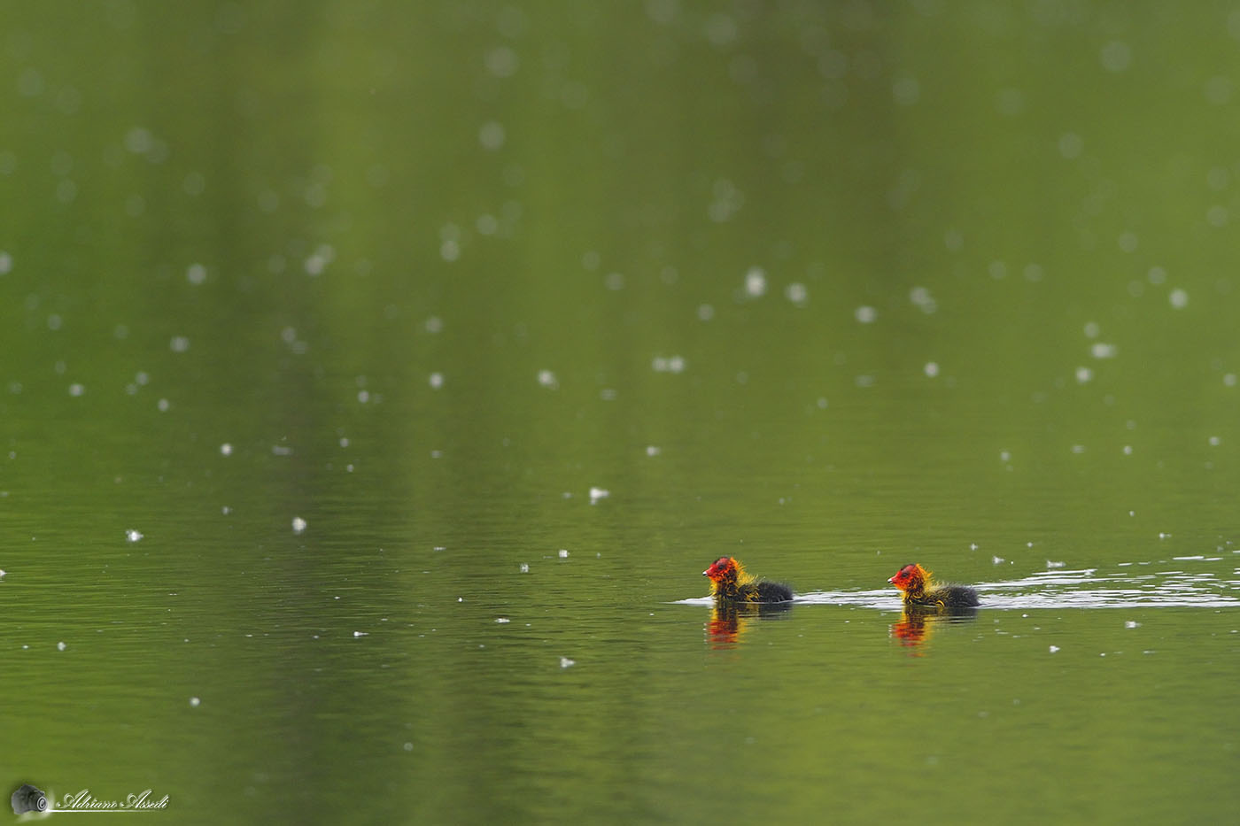 ci hanno lasciati soli...