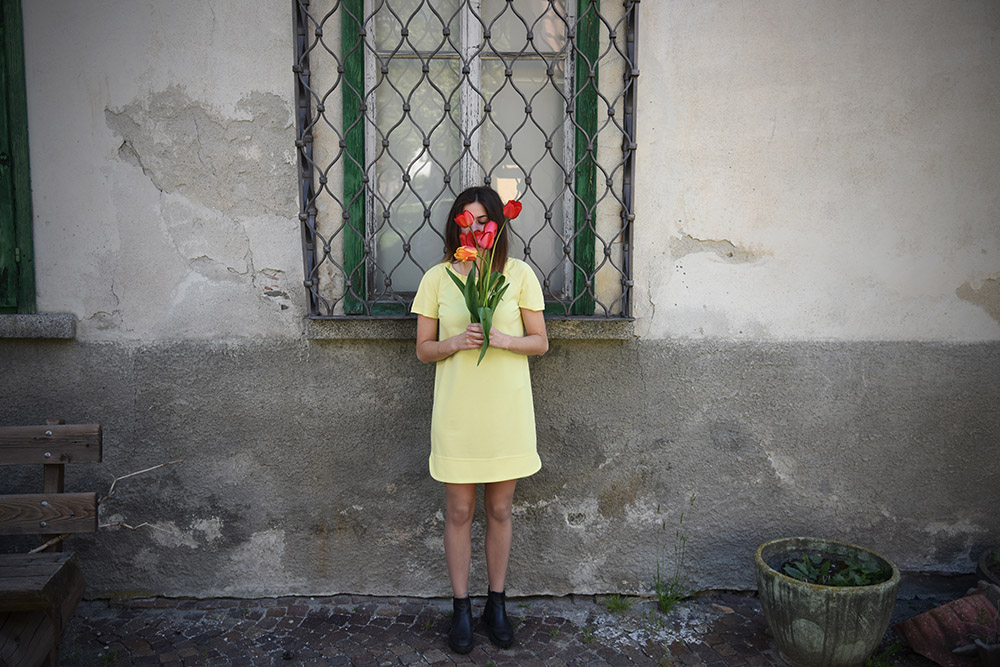 Tulipani