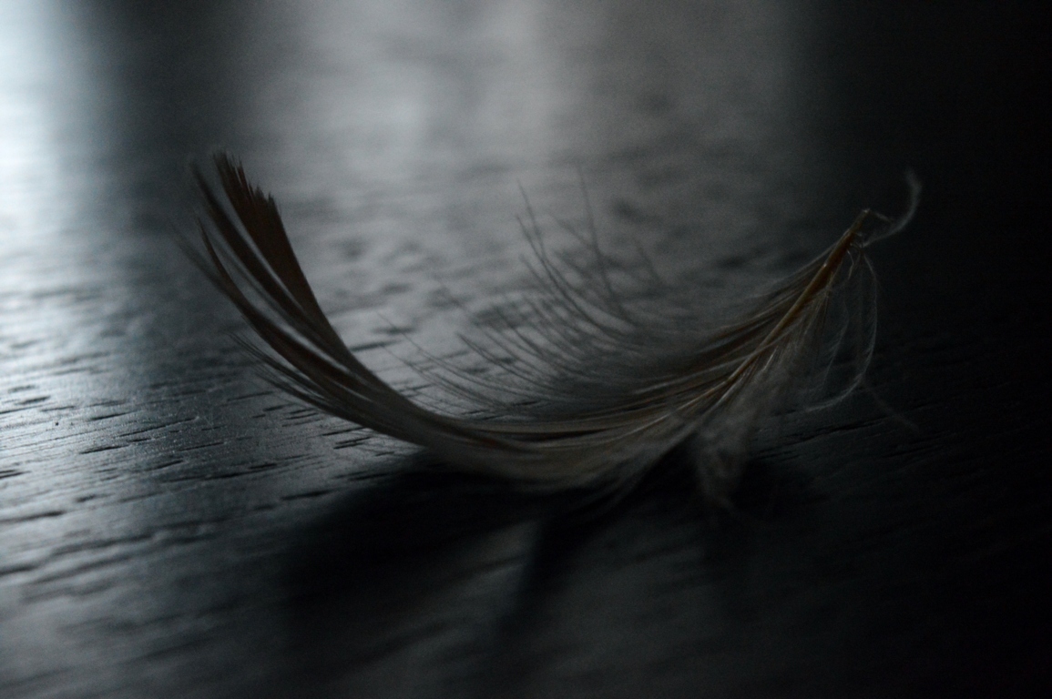 feather