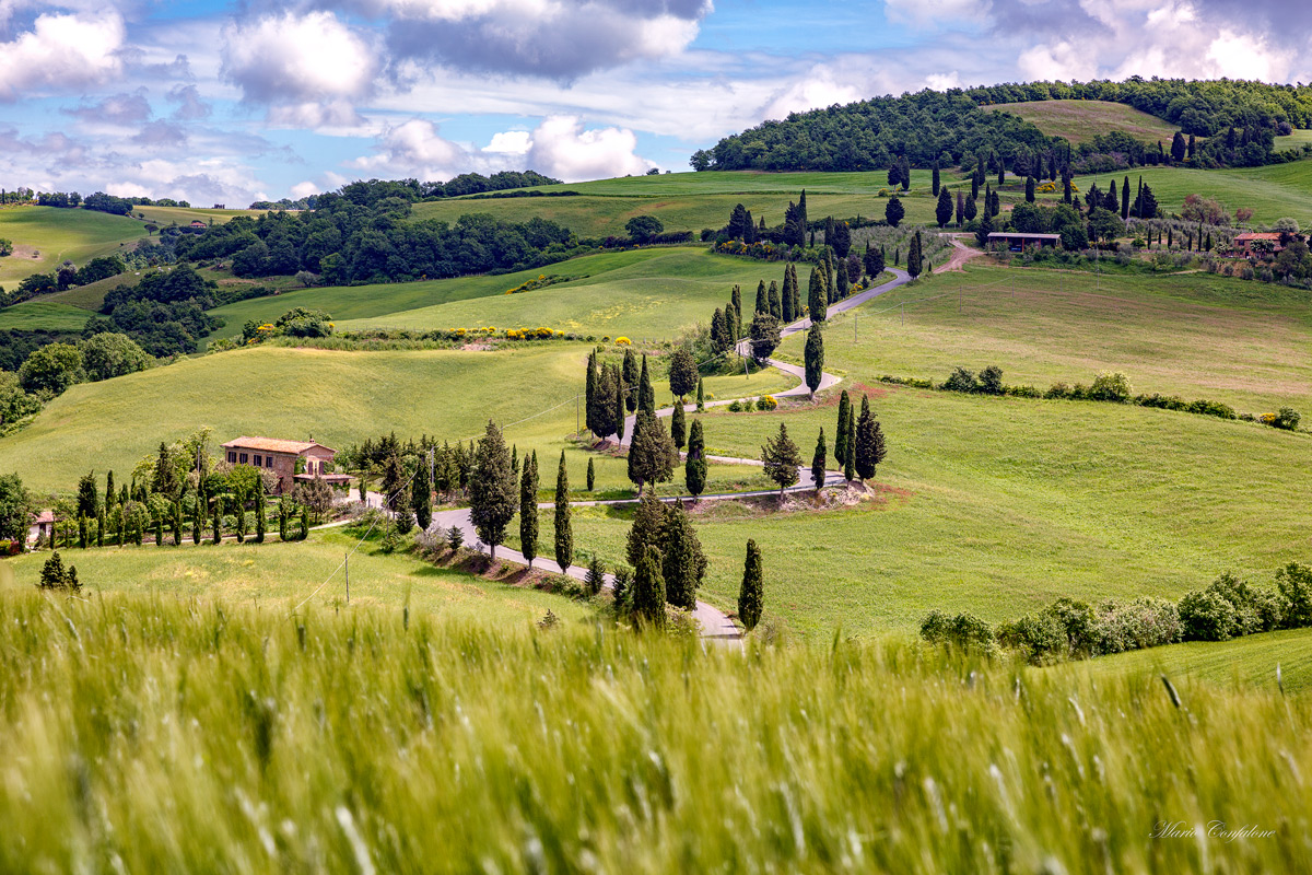 Che ne sai di un campo di grano