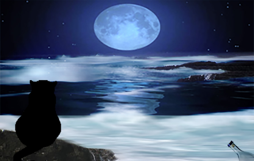 Il gatto e la luna