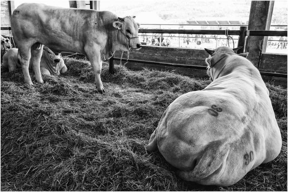 Rassegna Agricola Centro Italia
