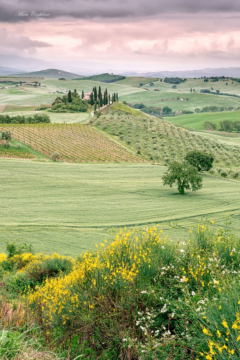 Another day in paradise