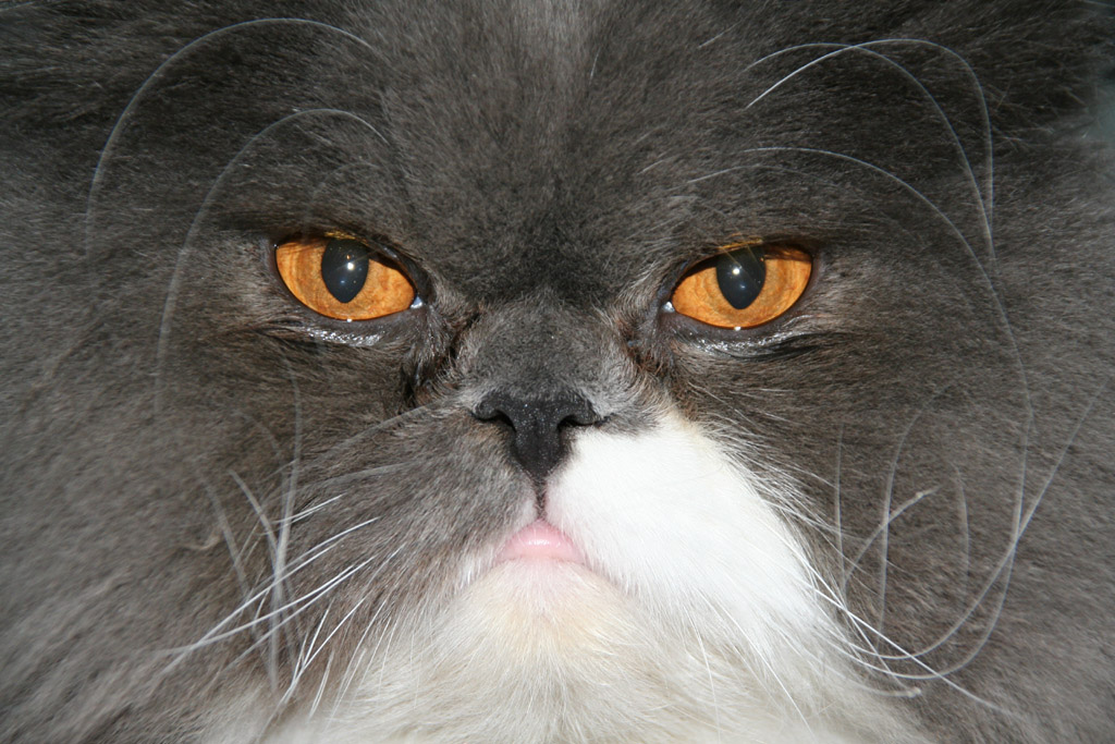 con quella faccia un po' cos�...