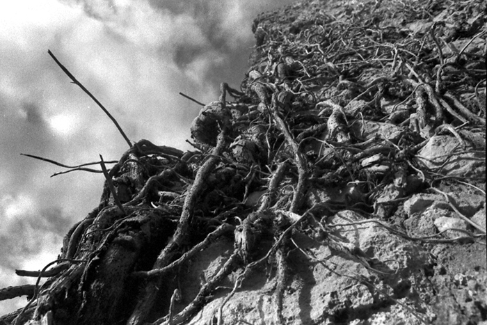 Vorrei arrampicarmi fino in cielo...