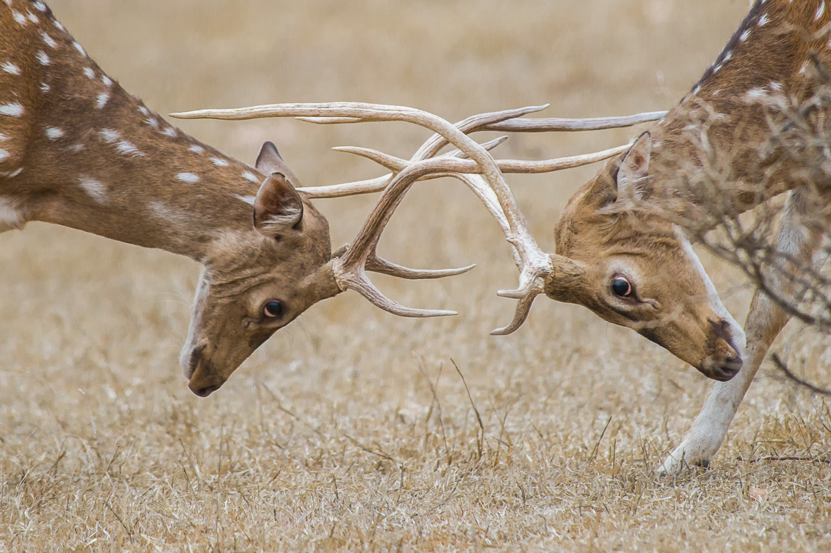 Esercizi per crescere