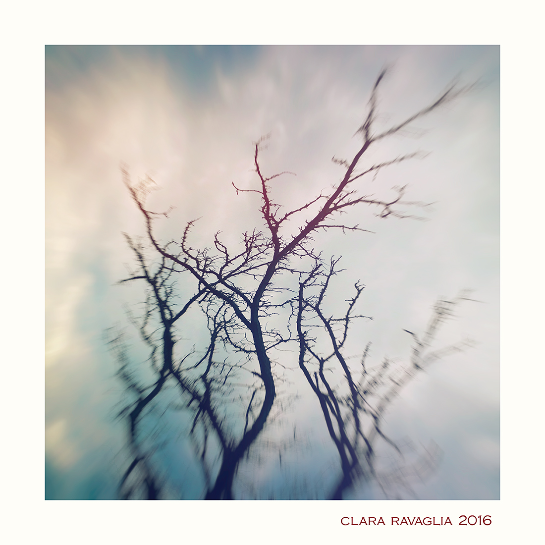 Anime...nella tormenta