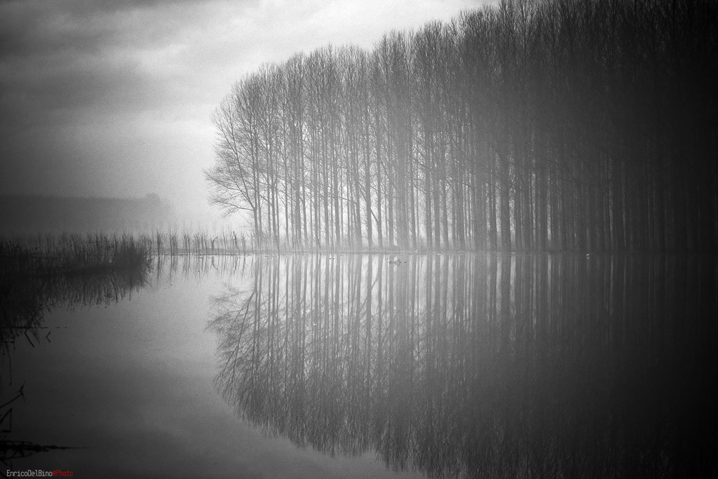 riflessioni nebbiose