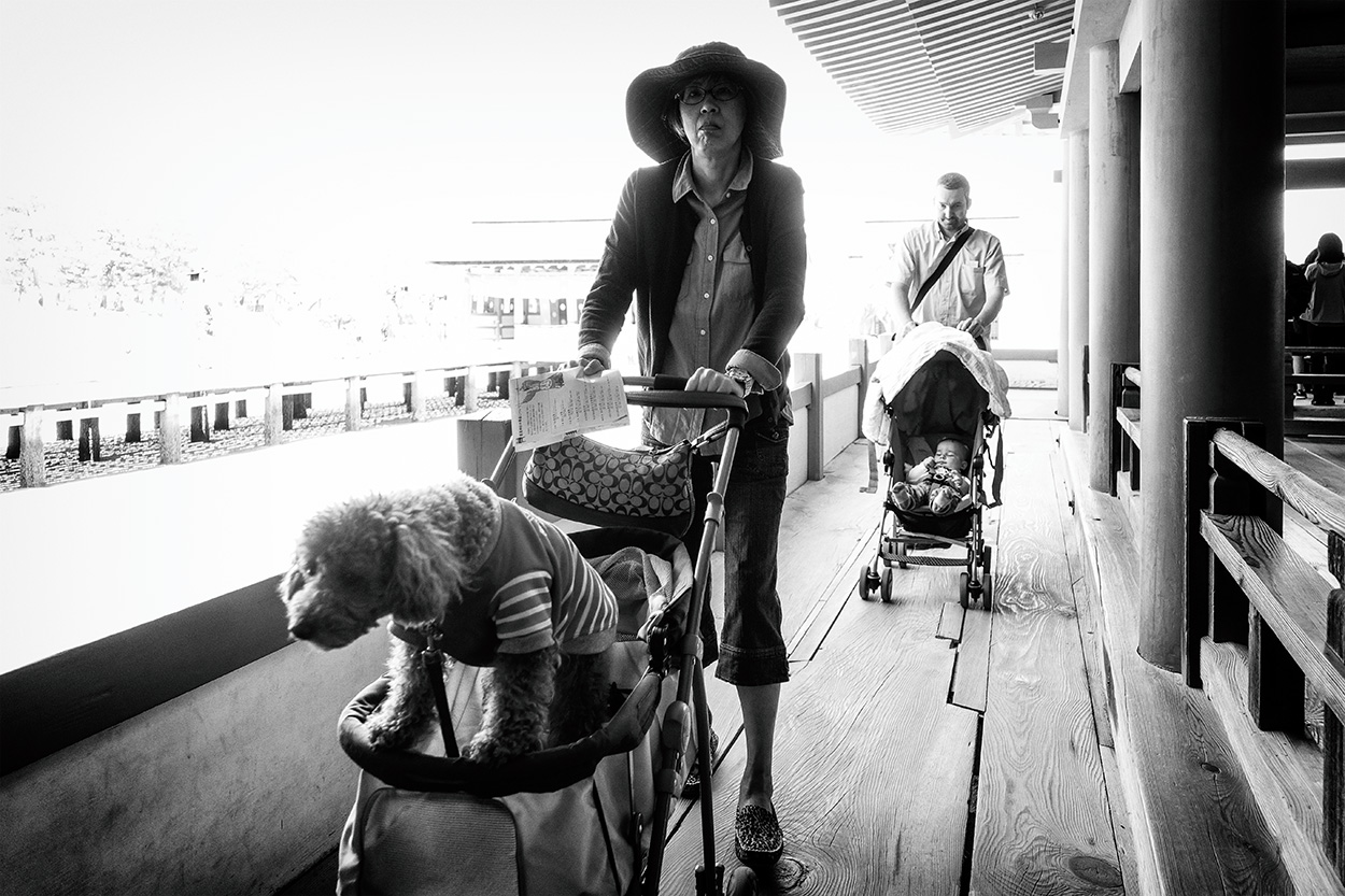 Figlio di un cane :D