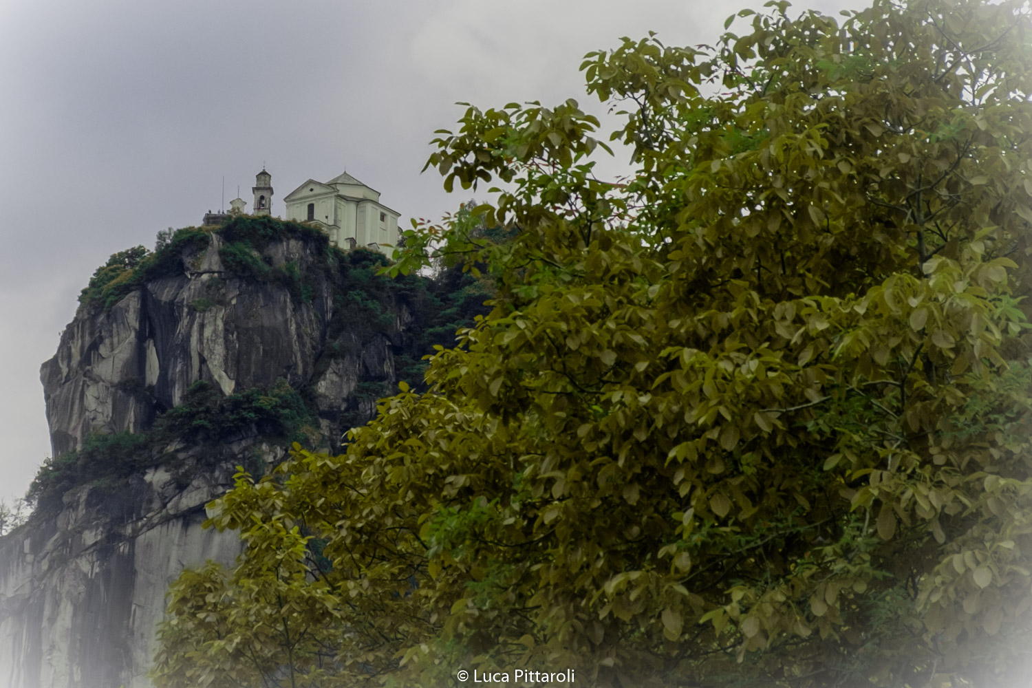 Pella - guardando in su