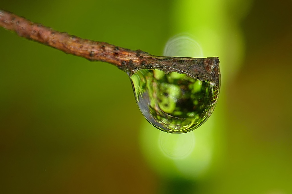 *** Babbo Natale ***