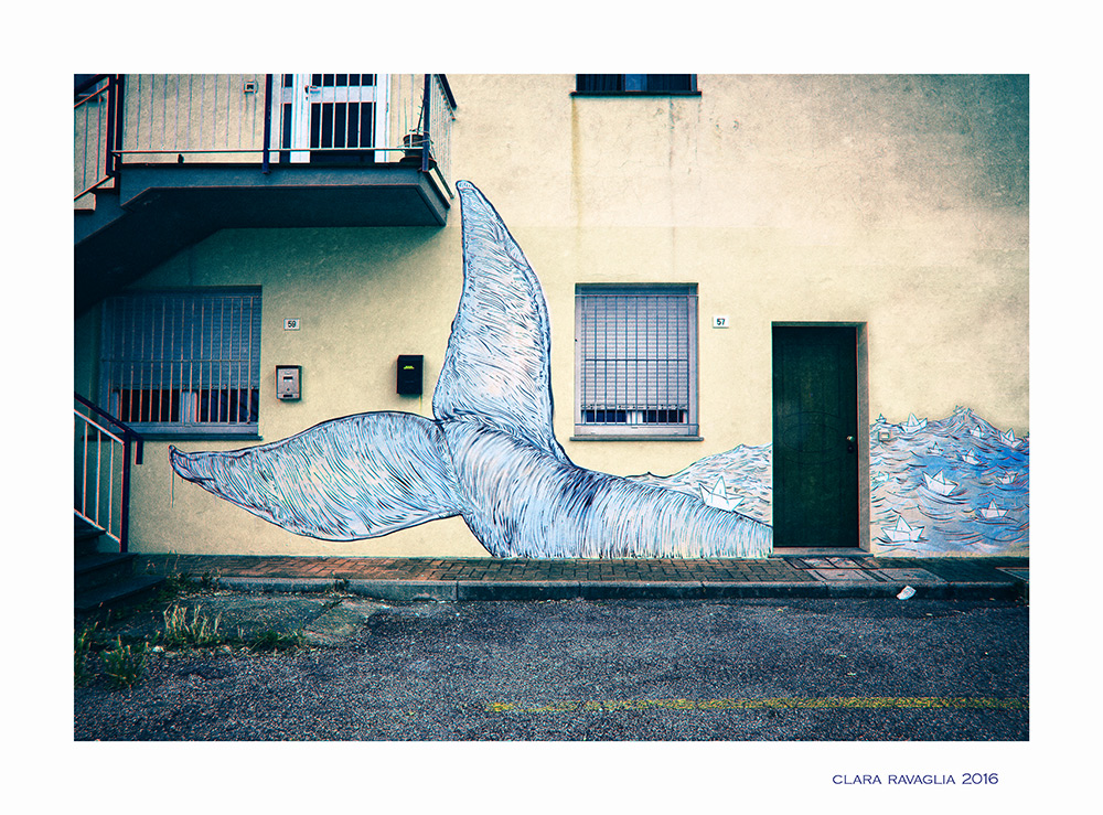 Il tuffo della balena...