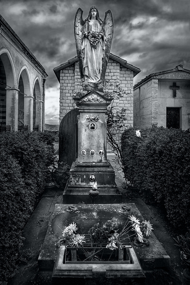 Vita mutatur non tullitur